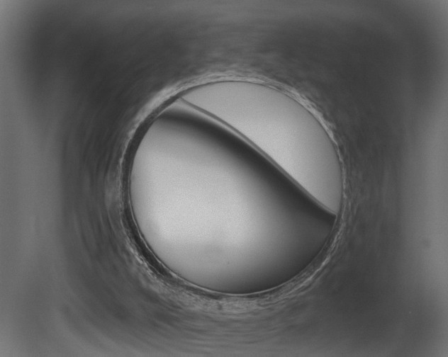 X0000081460008200701121054