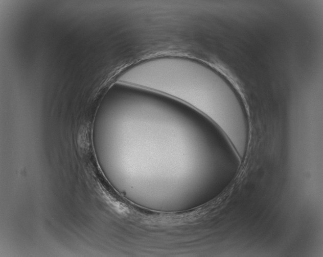 X0000081460009200701121054