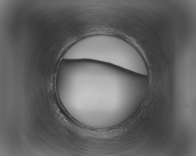 X0000081460010200701121054