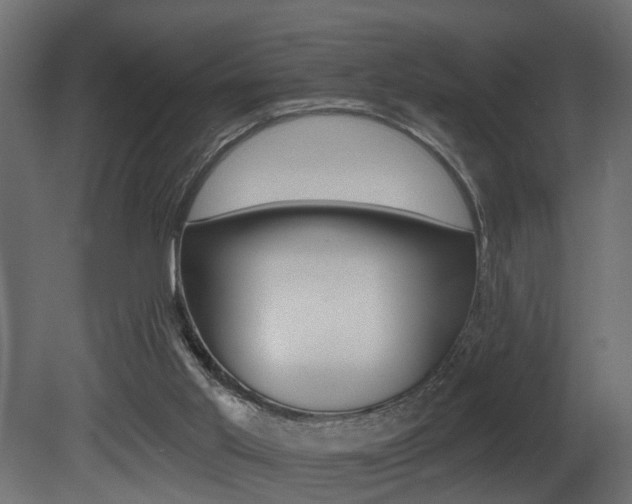 X0000081460013200701121054