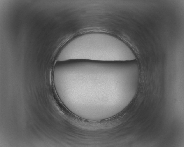 X0000081460014200701121054