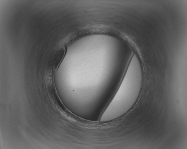 X0000081460017200701121053
