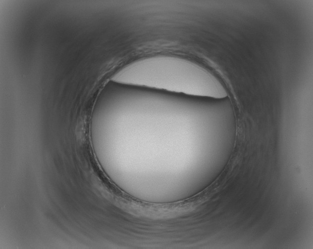 X0000081460018200701121053
