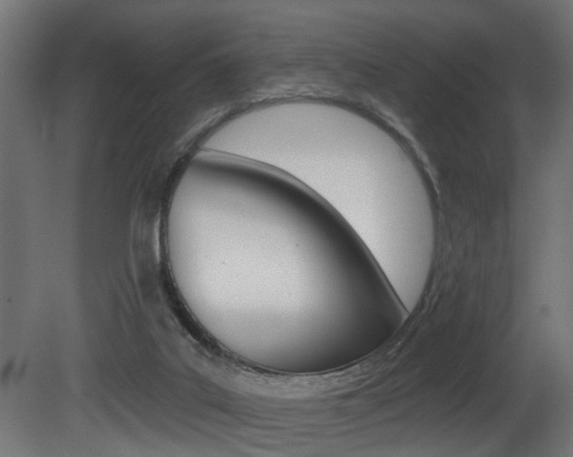 X0000081460019200701121053