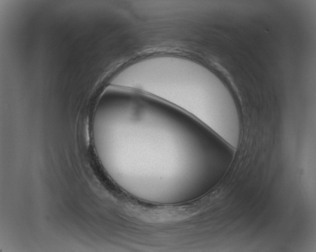 X0000081460020200701121053