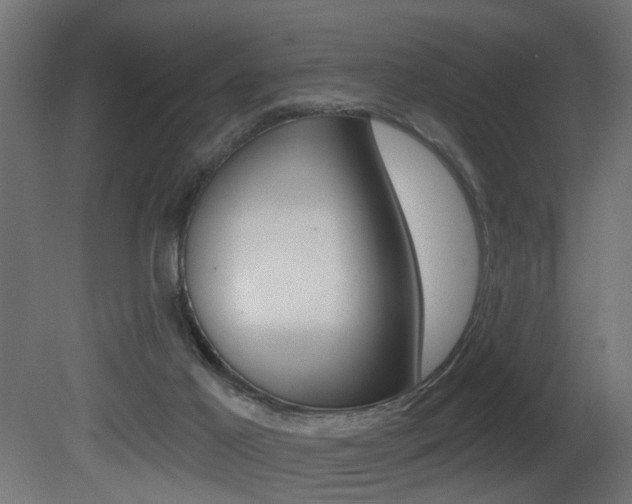 X0000081460021200701121053