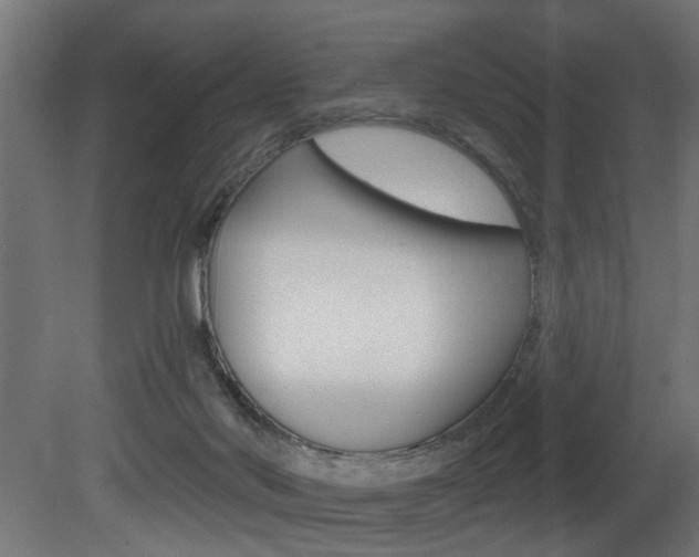 X0000081460022200701121053