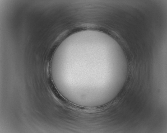 X0000081460024200701121053