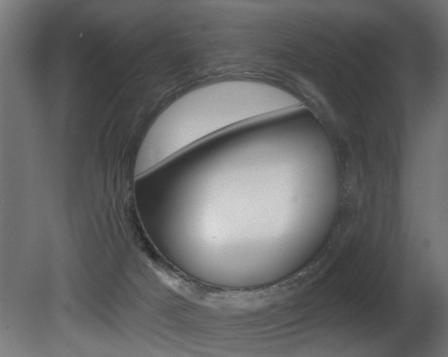 X0000081460025200701121053