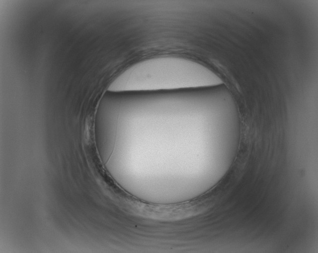 X0000081460026200701121053