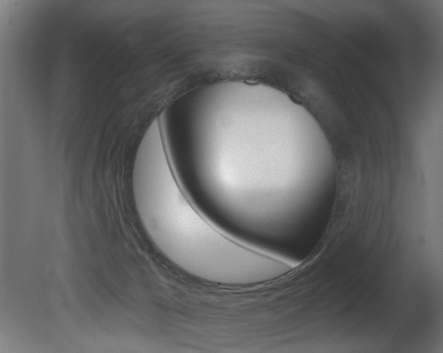 X0000081460029200701121053