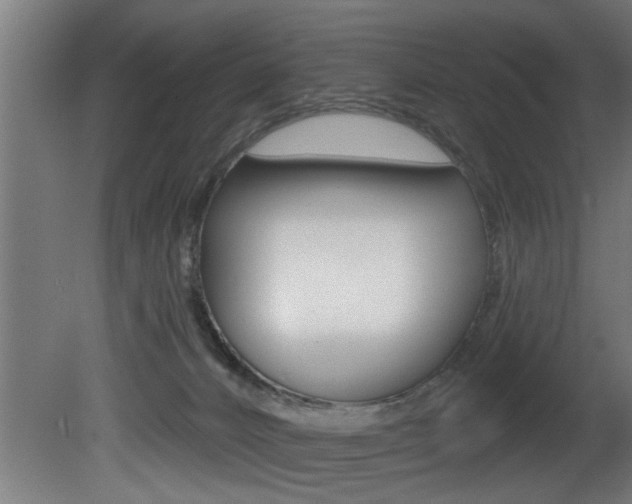 X0000081460032200701121053