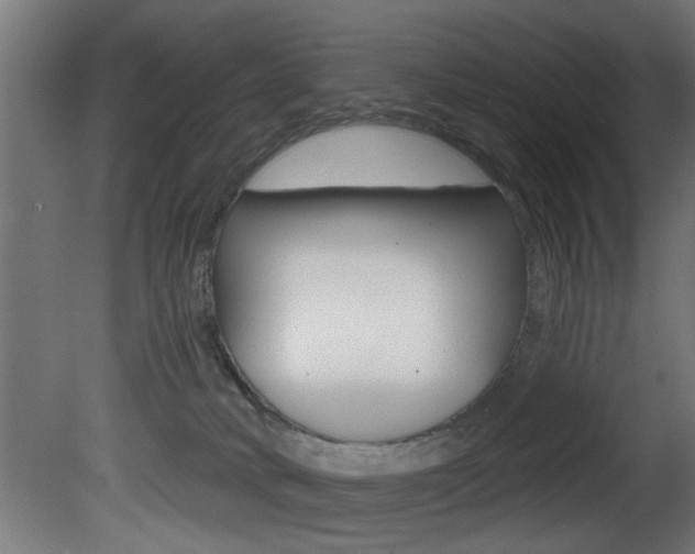 X0000081460034200701121053