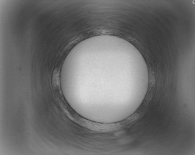 X0000081460036200701121053