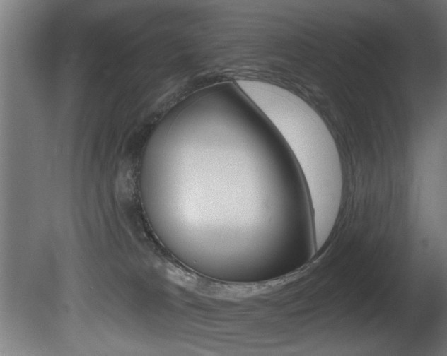 X0000081460037200701121053