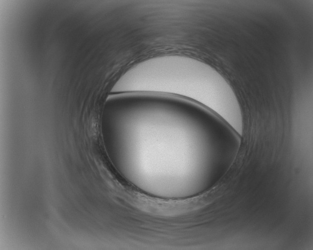 X0000081460039200701121053