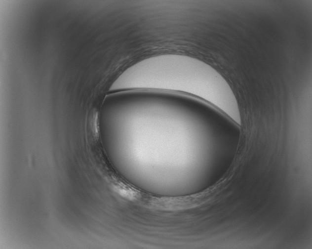 X0000081460041200701121053