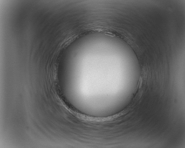 X0000081460043200701121053