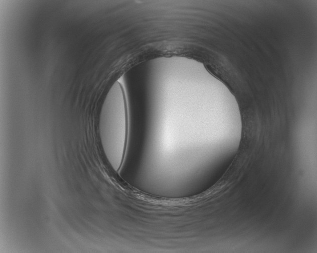 X0000081460044200701121053