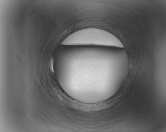 X0000081460046200701121053
