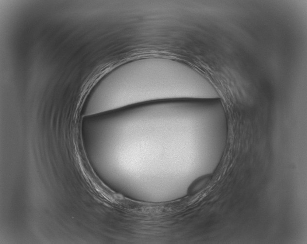 X0000081460049200701121052