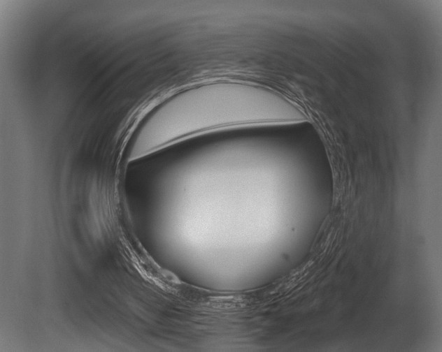 X0000081460050200701121052