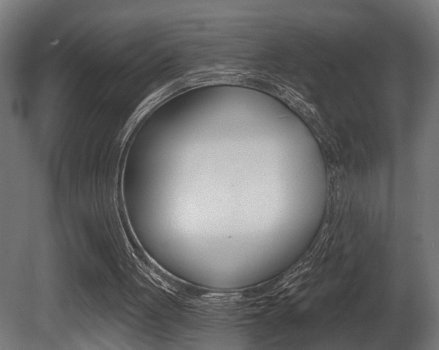 X0000081460051200701121052