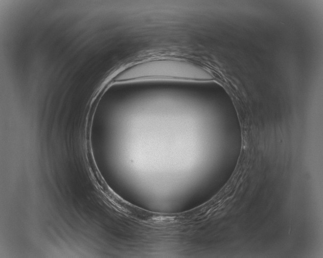 X0000081460052200701121052