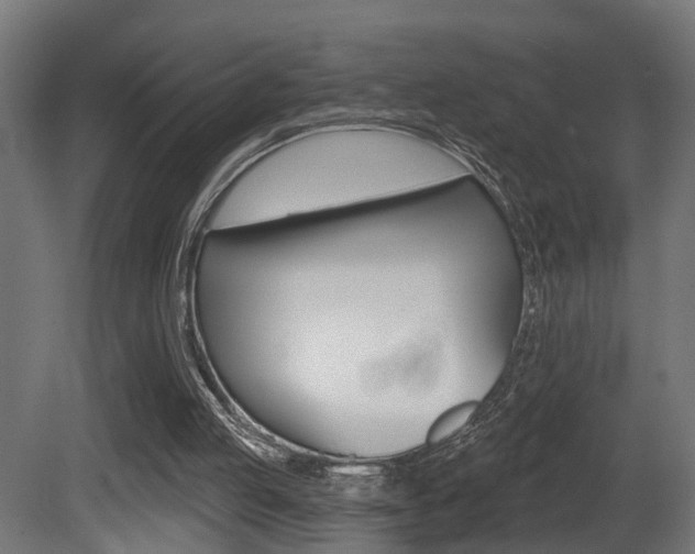 X0000081460053200701121052