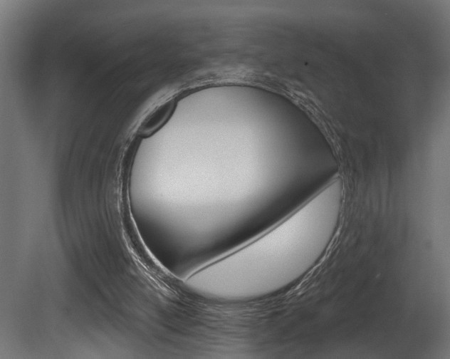 X0000081460054200701121052