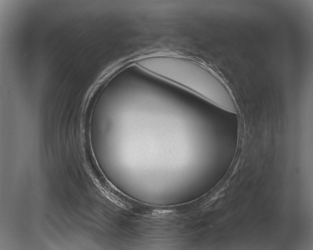 X0000081460055200701121052