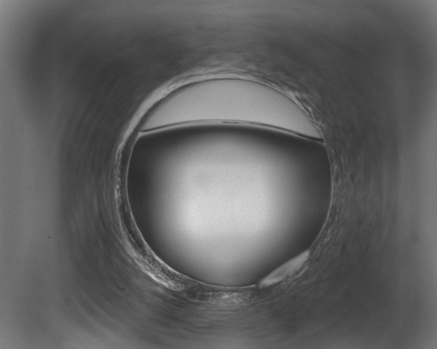 X0000081460056200701121052