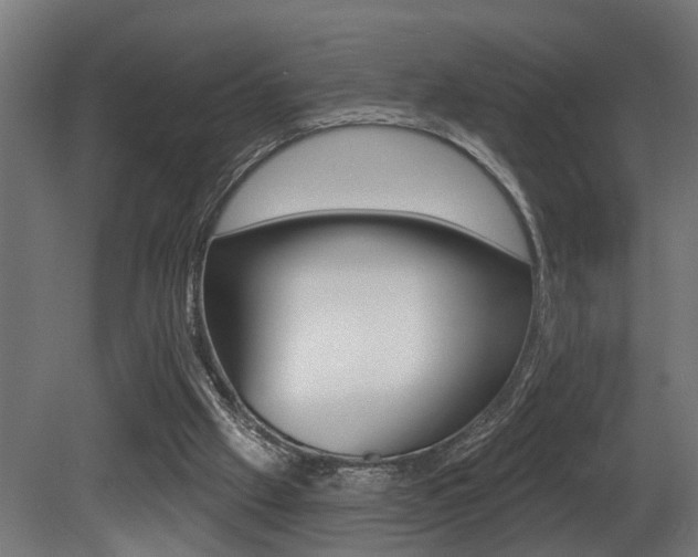 X0000081460057200701121052