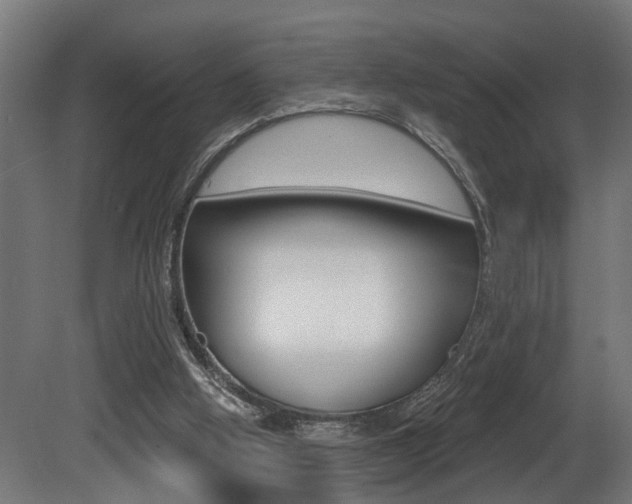 X0000081460058200701121052