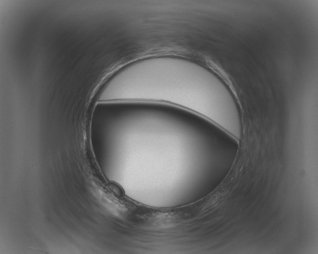 X0000081460059200701121052