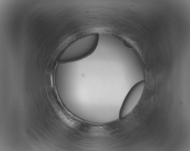 X0000081460061200701121052