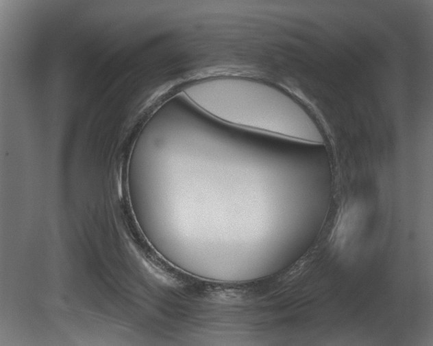 X0000081460062200701121052