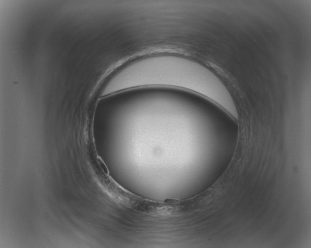 X0000081460064200701121052