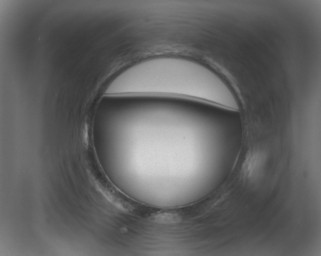 X0000081460067200701121052