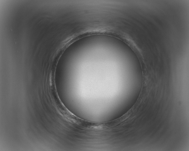 X0000081460068200701121052