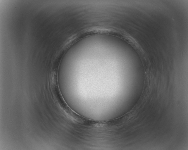 X0000081460071200701121052