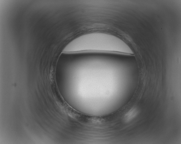 X0000081460073200701121052