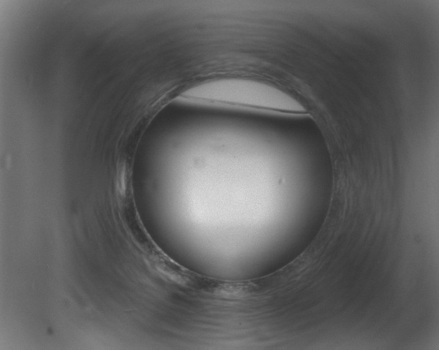 X0000081460076200701121053