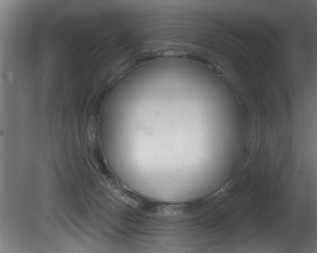 X0000081460078200701121053