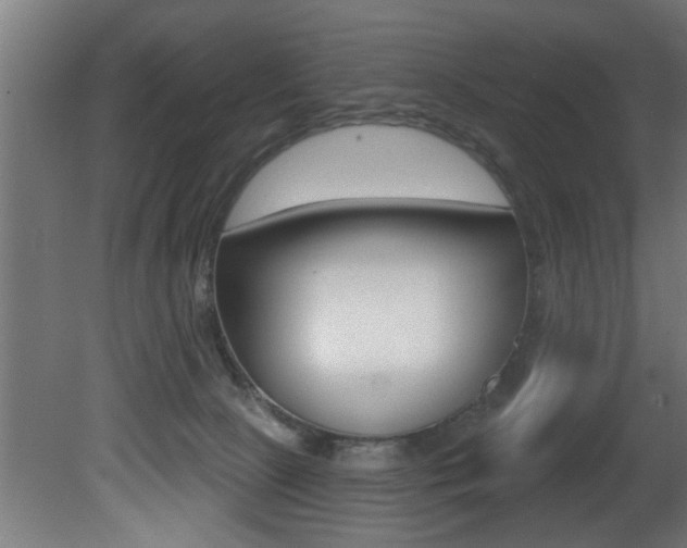 X0000081460081200701121053