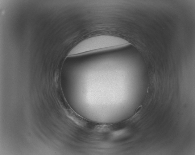 X0000081460082200701121053