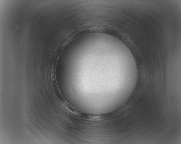 X0000081460083200701121053