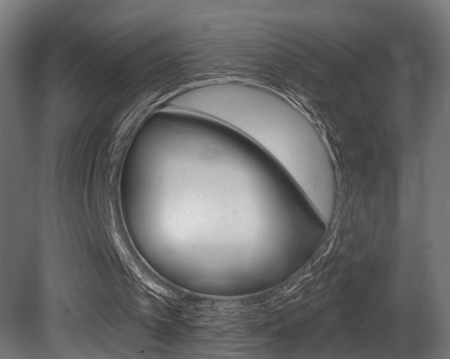 X0000081460097200701121052