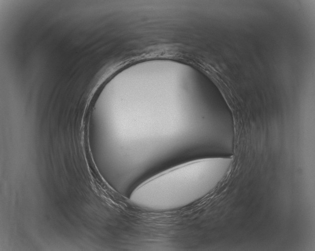 X0000081460100200701121052