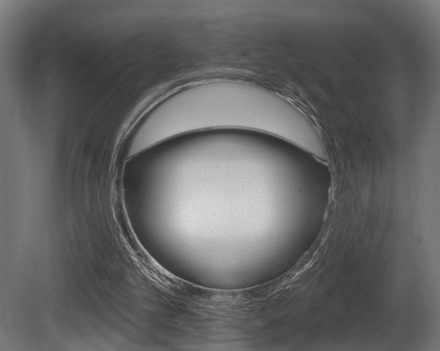 X0000081460101200701121052